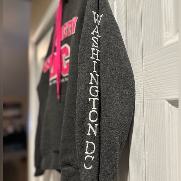 Pink/Gray Washington D.C. Sweatshirt - Picture 2 of 2
